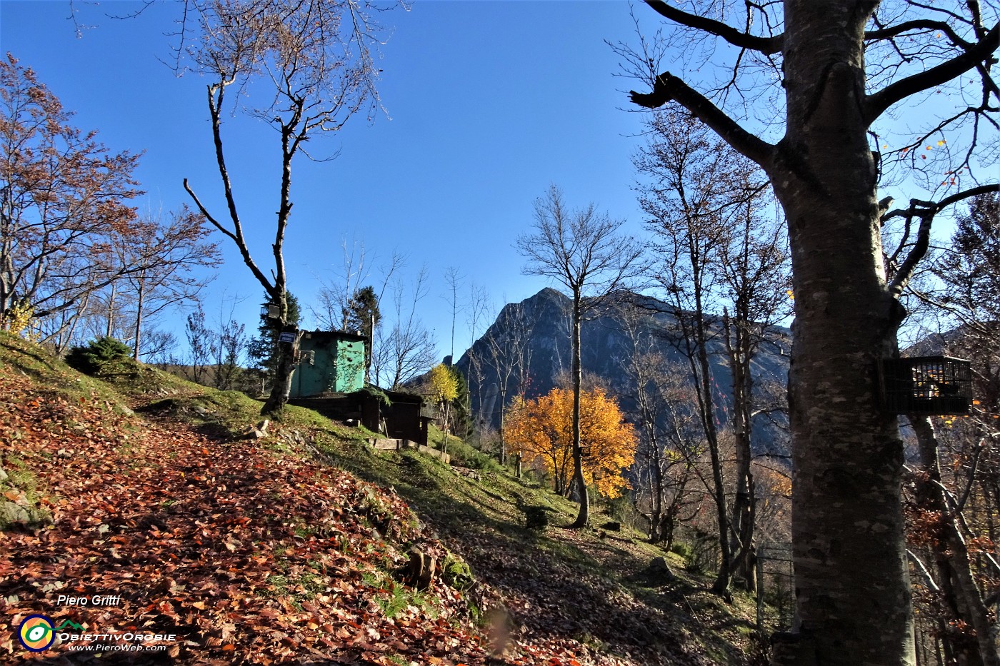 21 Passaggio al capanno da caccia in funzione...attenzione.JPG